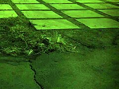 She sucks pussy and licks hairy armpit.