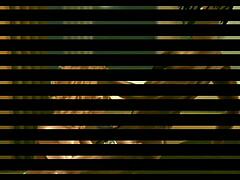 i'm sioimvu, feeling that stretched orgasm so good