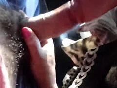 Brazilian shemale gives oral in car.