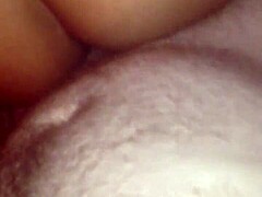 thick latina amateur riding cock
