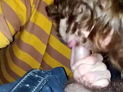 Cute Bisexual Sucks Buddy in Car After Work