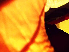 video twenty-four featuring exciting anal adventures