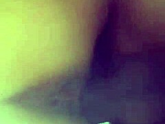 Amateur Trios In Quito