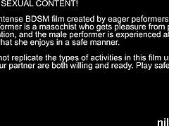 i brought peculiar kitten to anal madhouse for awkward treatment