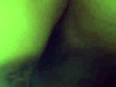 Amateur Trios In Quito