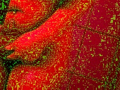 Gaia Monroe bathes alone in shower with big tits and ebony curves.