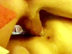 Amateur Wife's Homemade Fucking Adventure
