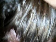 My Amazing Girl Sucking My Cock