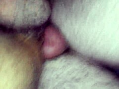 watch coroa roludo in gay action!