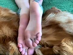 Fur play and foot fetish