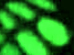 i saw this sexy cd take a load, so nice