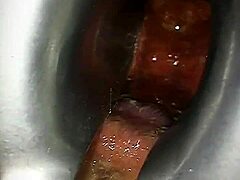 Teen anal training going deep with toys, wow! 😍