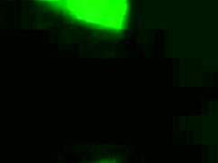 this venezuelan bbw has a hot ass in the hotel