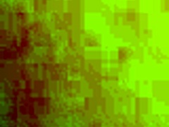 Did you see me get fucked by Latina shemale?