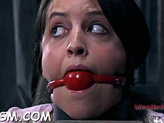 Gefesselte Babe bekommt geile Peitschenhiebe auf den Körper