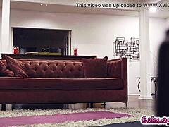 Sabina veut la chatte de Scarlett !