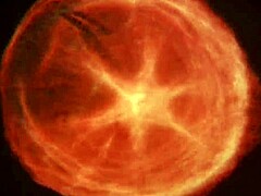 Amazing star video featuring Victoria Moore