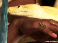 Watch this beautiful Indian dance to get aroused?