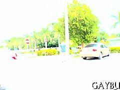 Is This Homo Sex On Xvideos Exciting?