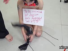 Sexy Cutie Taken In Butt Hole Asylum For Awkward Anal Treatment