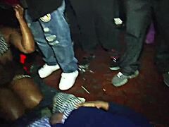 honeycomb hideout with ebony petite