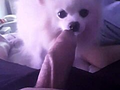 Family Member Portrait