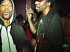 honeycomb hideout with ebony petite