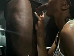 Szereted így nyalni és szopni Lucio nagy nedves farkát?