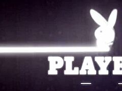 best-of-music-lovers-plus