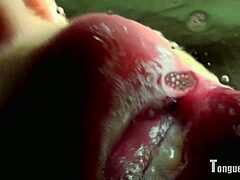 صوفيا تقدم لعابها مع لمسة فتيش اللسان