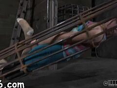 Watch This Hardcore Sadomasochism Porn Now!