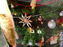 i saw agarabas rip clothes and fuck olpr's big ass