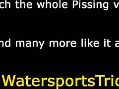 Εξωτερική φετίχ σκύλα ιππεύει πούτσο απολαμβάνοντας χρυσή βροχή σε σκληρή ομαδική σκηνή πίπας