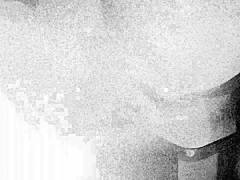 The Secretary Climbed Onto A Member Of The Chief For The Annual Prize