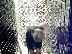 Spionerar rosa anus voyeur!