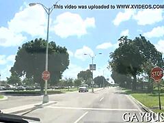 Intense Homosexual Blow Job Passion