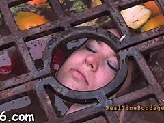 rough bdsm hardcore with blowjob and pussy fucking