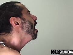 胖熊给毛茸茸受爱人激烈无套狗狗式