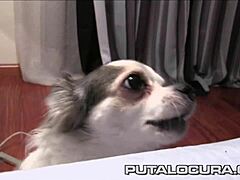 Filling Chubby Violeta's Pussy with Cum