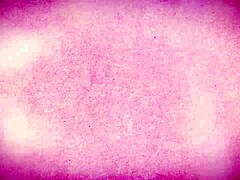 miss raquel rides in cowgirl panties