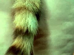 Do you want rolls in your ass and mouth?