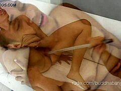 Lizzy on Pole-Trailer