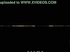 Дримленд эпизод 18 раскрывает тайну в лесу.