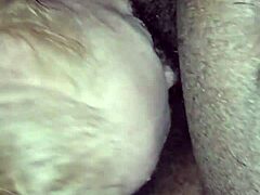 ann sux my big blak cock