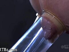 ANAL PUNISHMENT WITH SQUIRTING