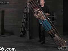 Hardcore Action In 003