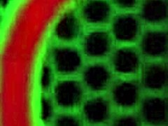 Blond cougar Vicky Vette dildo-knuller stor trang rumpe