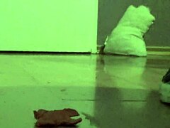 watch the giantess clayman stomp