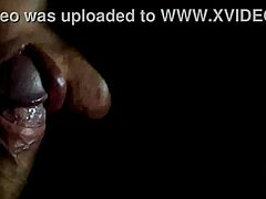 aluna novinha, are you learning to suck with your teacher in the dark?