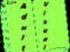 blonde lady masturbates her wet pussy in kitchen. she reaches orgasm with natural tits shaking.